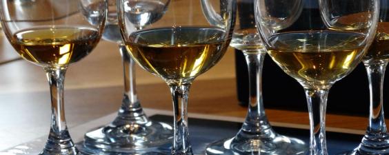Mobile Whisky Glass Select Scotland Tours